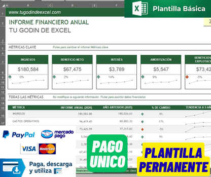 Formato Básico Informe Financiero Anual en Excel