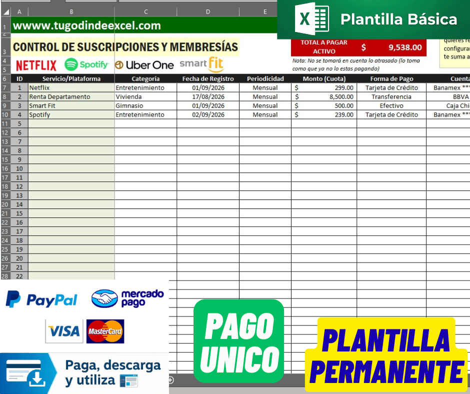 Formato para Control de Membresías y Suscripciones Personales en Excel VBA