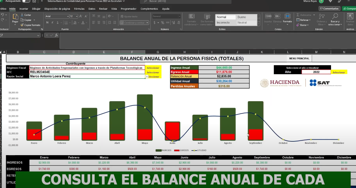 Sistema Contable  para Personas Físicas en Excel