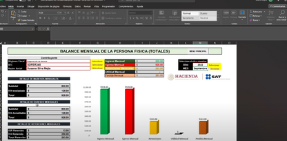 Sistema Contable  para Personas Físicas en Excel