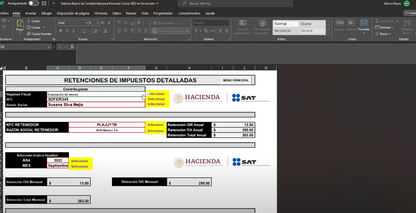 Sistema Contable  para Personas Físicas en Excel