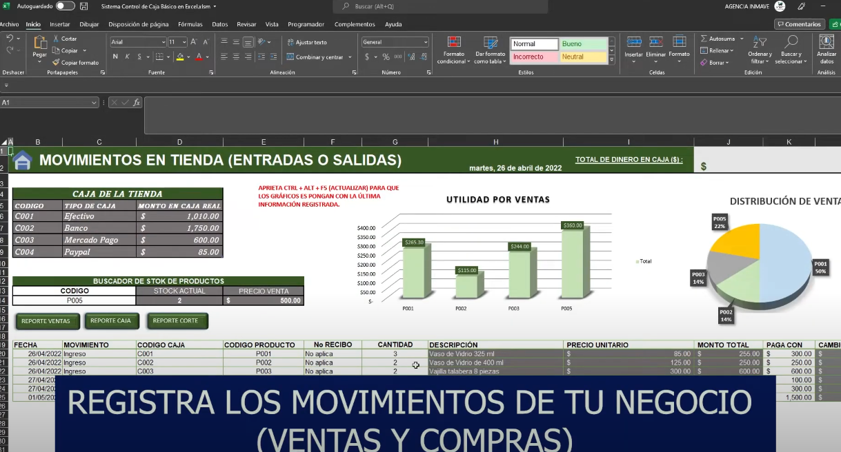 Sistema para Control de Caja en Excel (NUBE)