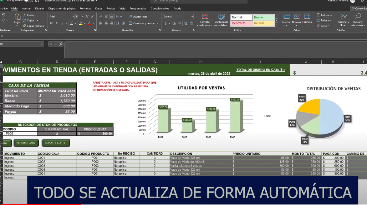 Sistema para Control de Caja en Excel (NUBE)