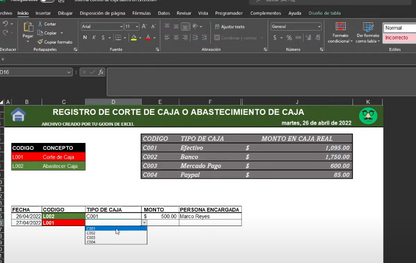 Sistema para Control de Caja en Excel (NUBE)