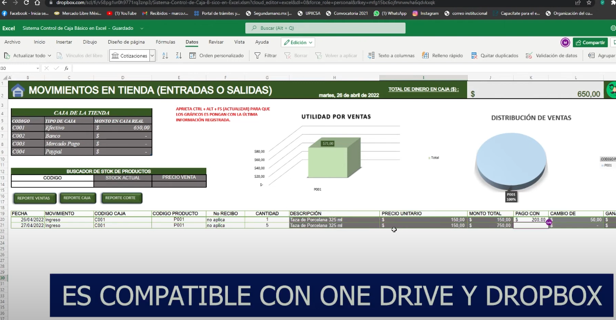 Sistema para Control de Caja en Excel (NUBE)