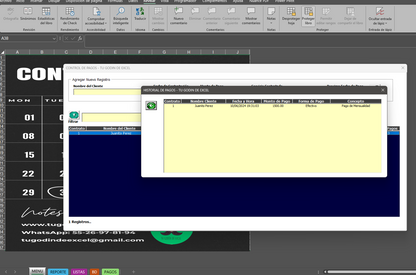 Plantilla para Control de Pagos 2024