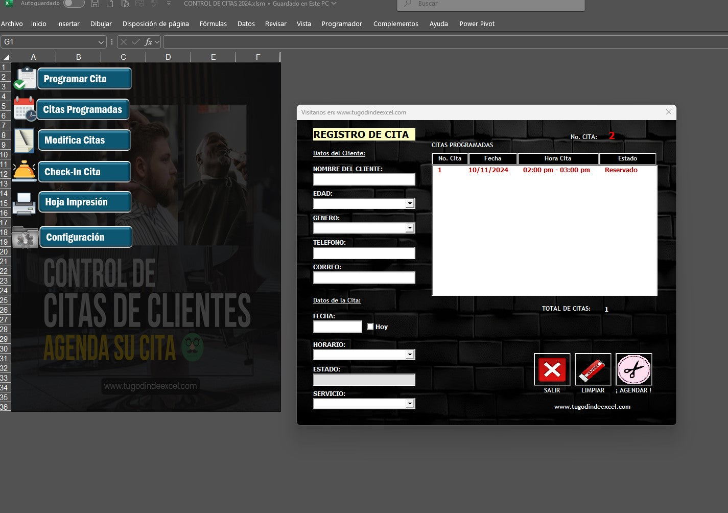 Sistema para Control de Citas en Excel 2024
