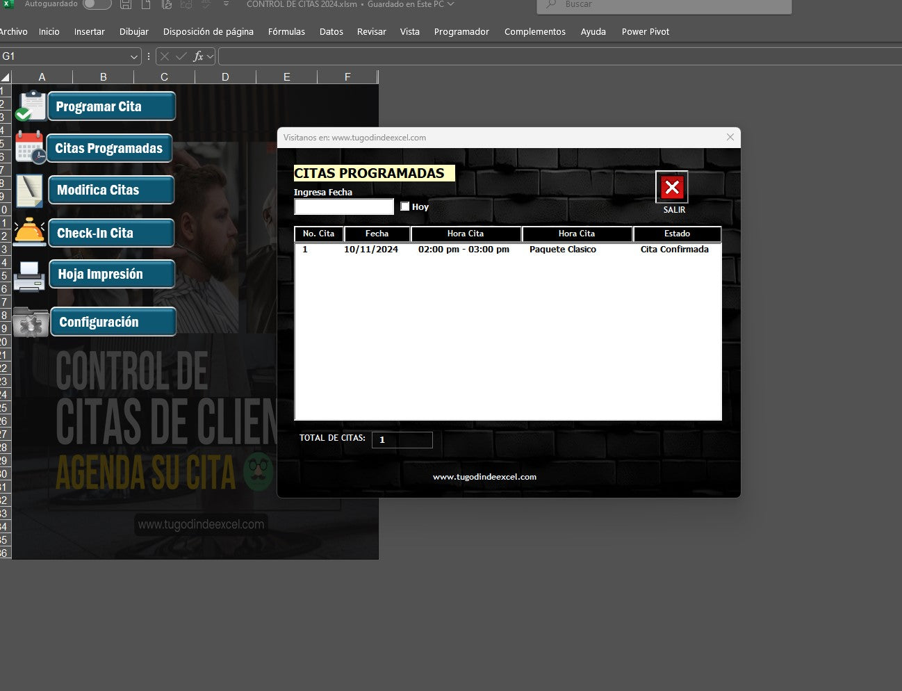 Sistema para Control de Citas en Excel 2024