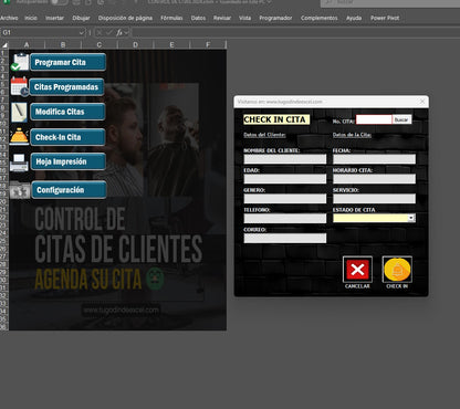 Sistema para Control de Citas en Excel 2024