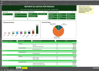 Formato Básico para Control de Gastos