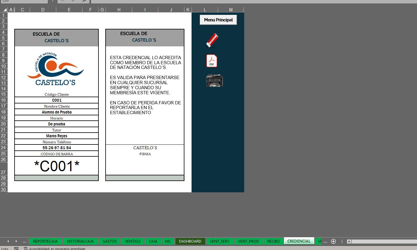 Sistema para Control de Escuela de Natación en Excel