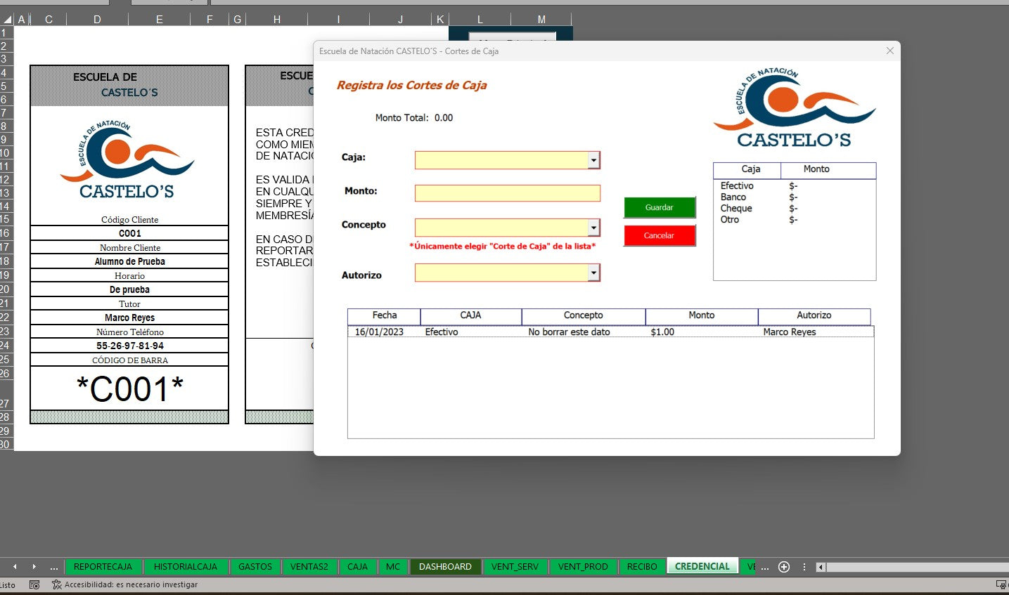 Sistema para Control de Escuela de Natación en Excel