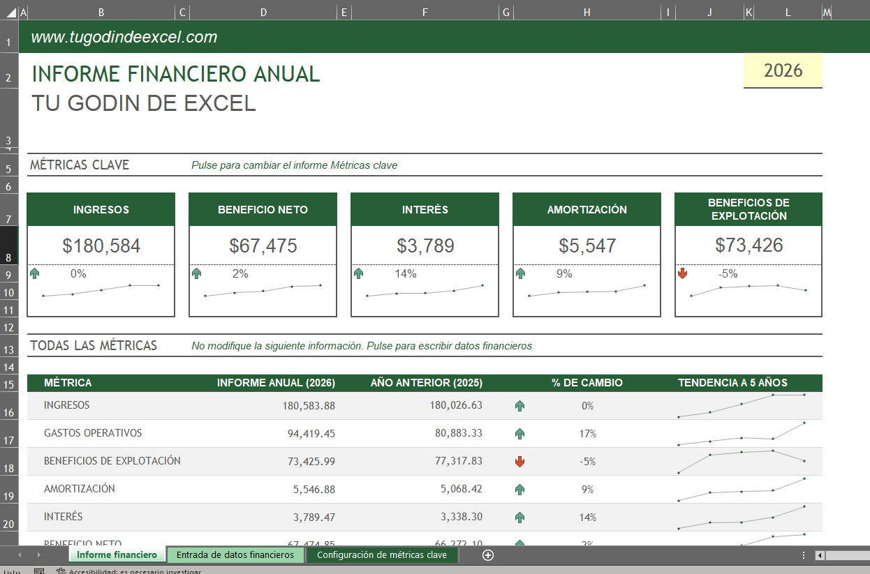 Formato Básico Informe Financiero Anual en Excel