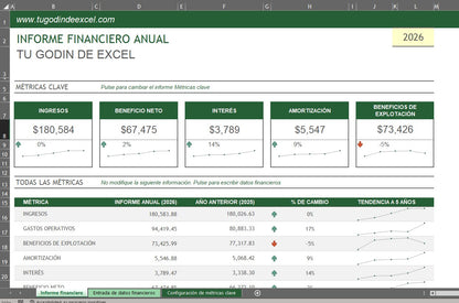 Formato Básico Informe Financiero Anual en Excel