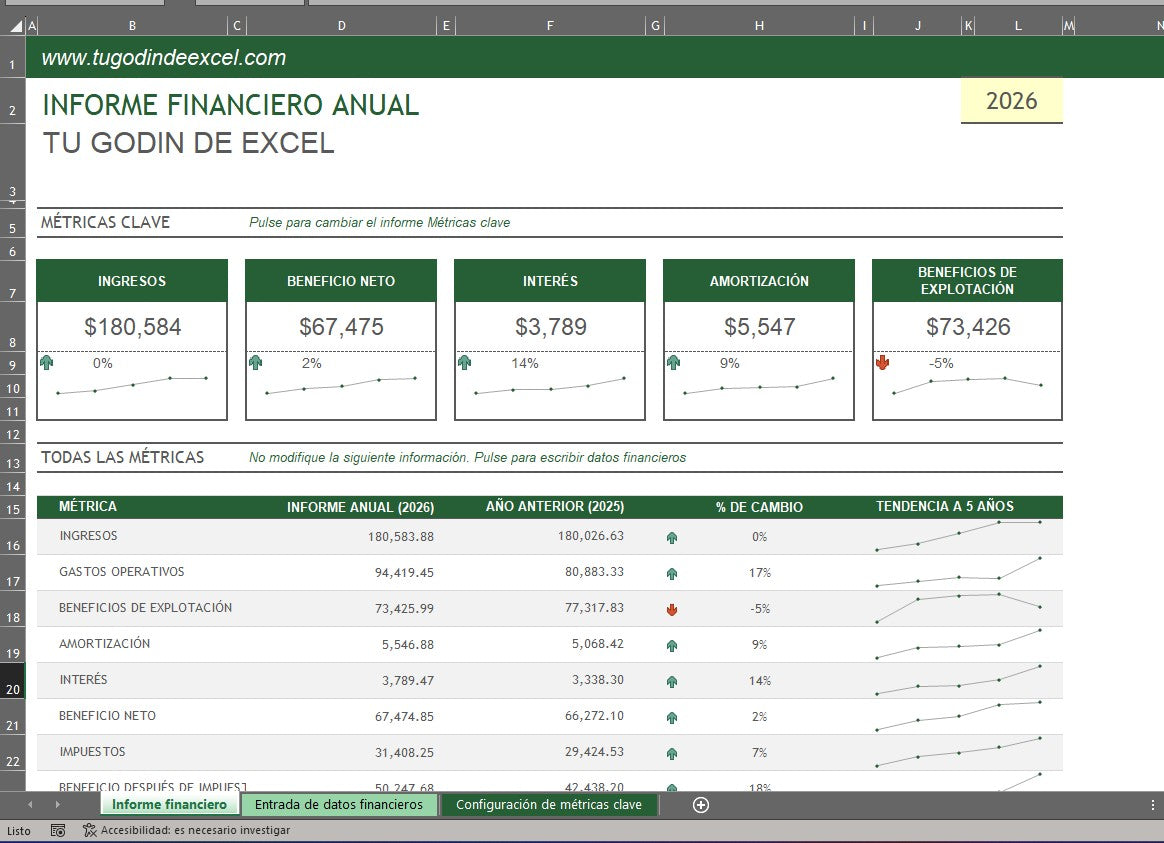 Formato Básico Informe Financiero Anual en Excel