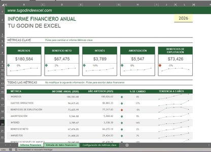 Formato Básico Informe Financiero Anual en Excel