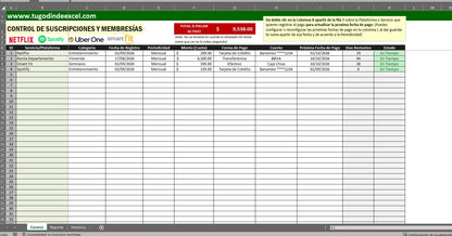 Formato para Control de Membresías y Suscripciones Personales en Excel VBA