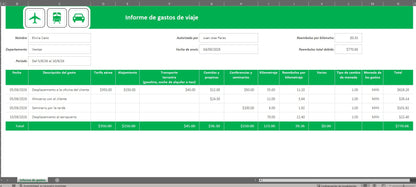 Formato Basico para Reporte de Viaticos de Viaje en Excel