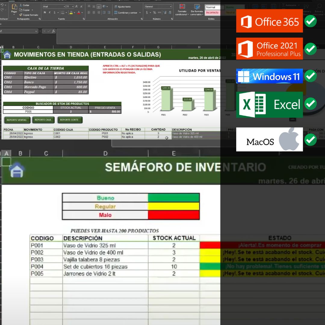 Sistema para Control de Caja en Excel (NUBE)