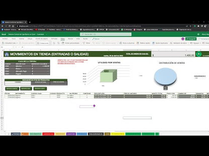 Sistema para Control de Caja en Excel (NUBE)