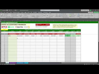 Formato para Control de Membresías y Suscripciones Personales en Excel VBA